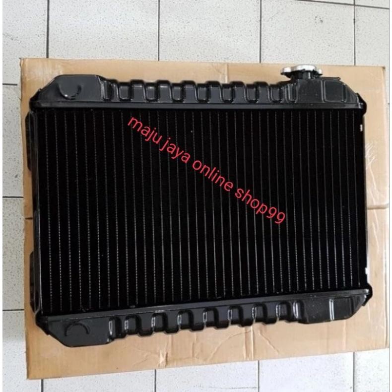 Radiator Carry 1.0 Carry Extra St100 Asli