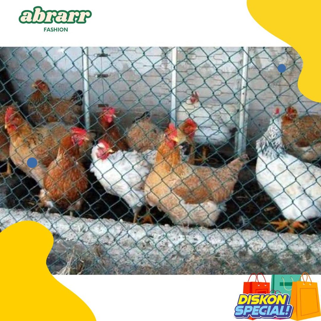 Jaring Ayam Tebal Lebar 1 Meter / Jaring Pagar Ayam / Jaring Kandang Ayam