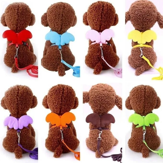

diskon! tali tuntun harness anjing kecil cute angel wings pet leash dog cat