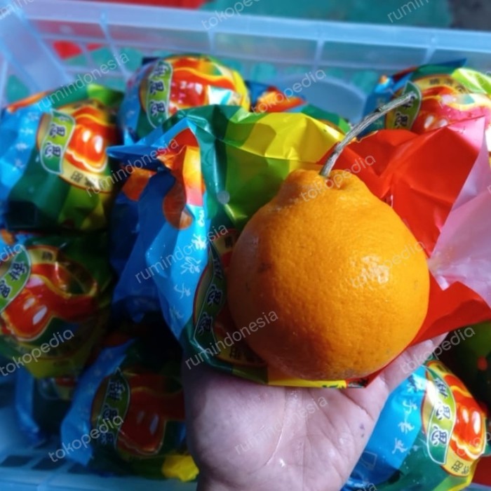 

jeruk dekopon papagan 1 keranjang 6.5 kg fresh