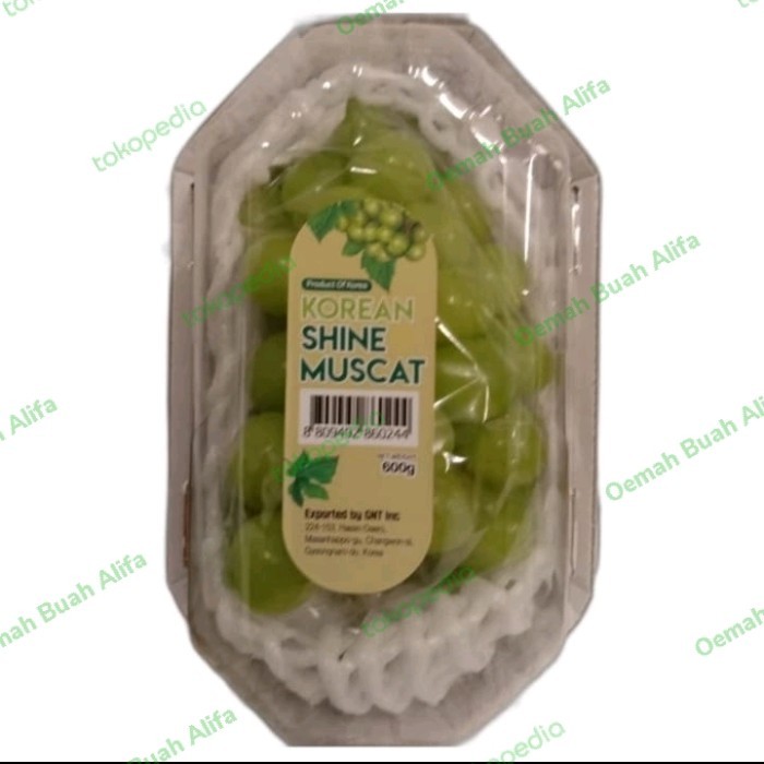 

ANGGUR SHINE MUSCAT KOREA