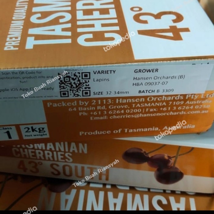 

tasmanian cherry 43 south ukuran 32-34