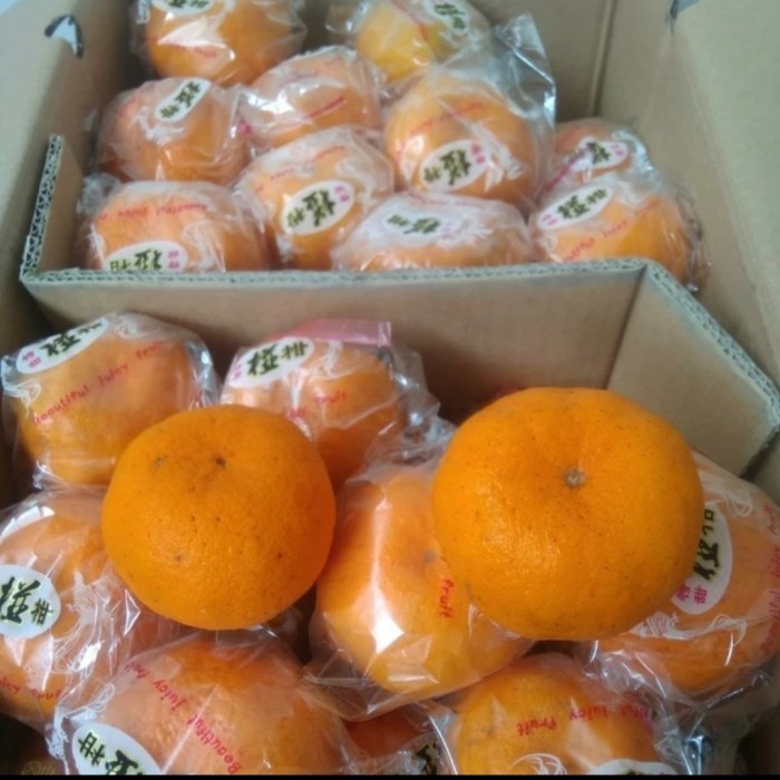 

Buah Jeruk Ponkam Tasty Per Dus - Isi 30 Pcs Jeruk Ponkan