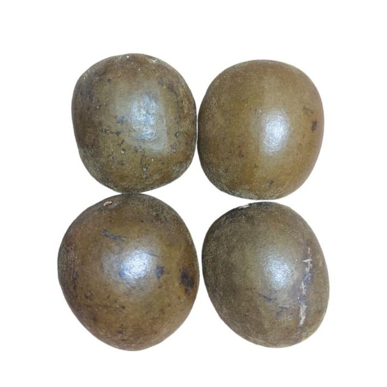 

Buah Lohanko Sedang / Buah Lo Han Ko / Lohanko 1 Box Isi 20 Buah New 100 % Original