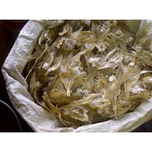 

IKAN TERI BULU AYAM / IKAN KERING BULU AYAM Bisa COD