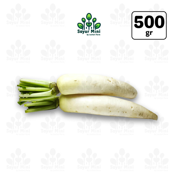 

Lobak 500gr - White Radish / Lobak Putih - Sayur Fresh by Sayur Mini
