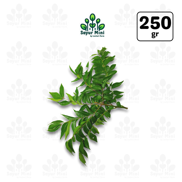 

Daun Kari 250gr - Daun Salam Koja / Daun Temurul Segar - Rempah Penyedap - Sayur Fresh by Sayur Mini