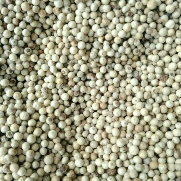 

Biji Lada Bangka / Sahang / Fuciau Bangka 100 gram