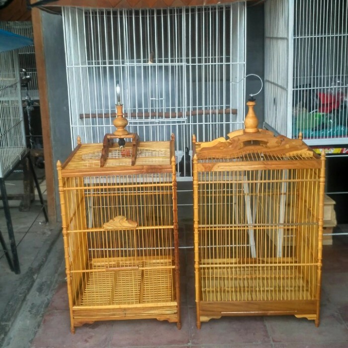 TERBARU Kandang burung kotak NO 1 kayu jati koplit tangkringan makan dan minum BISA GOSEND