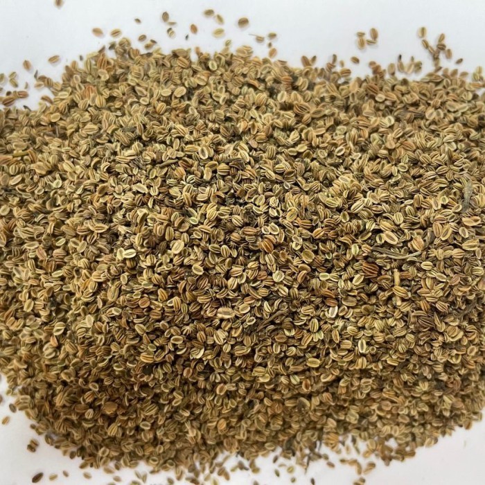

600 G GR GRAM SHE CHUANG ZI CNIDIUM FRUIT SEED SEEDS FRUCTUS CNIDII