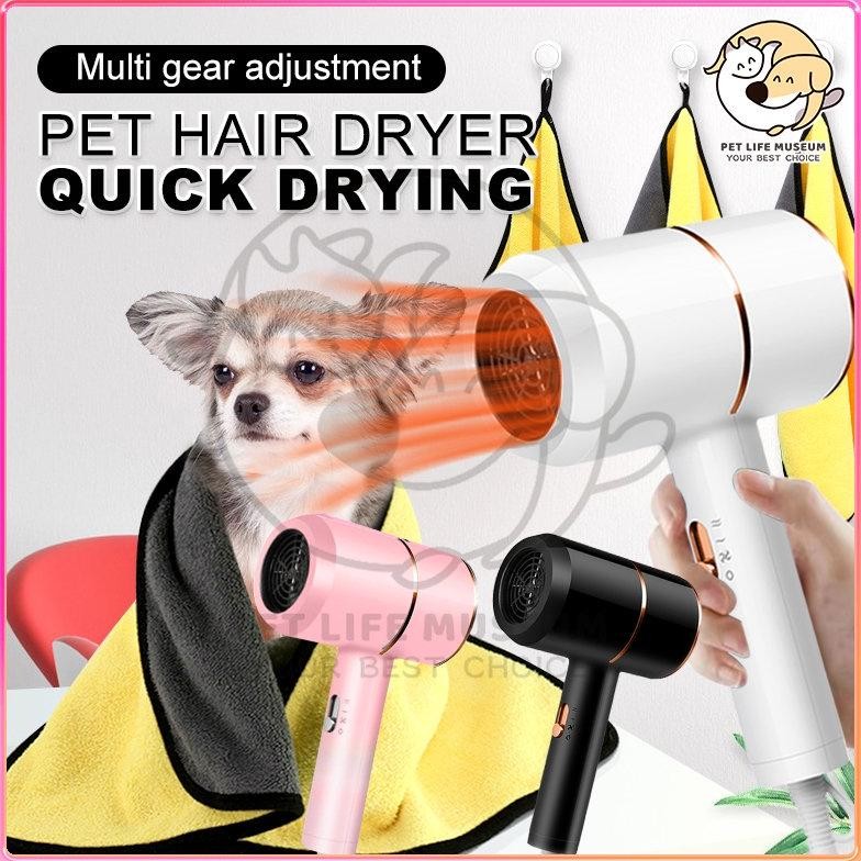 Pet Grooming Dryer Pengering Bulu Kucing Hair Dryer Kucing Anjing Anti Bising Alat Pengering Bulu Ku