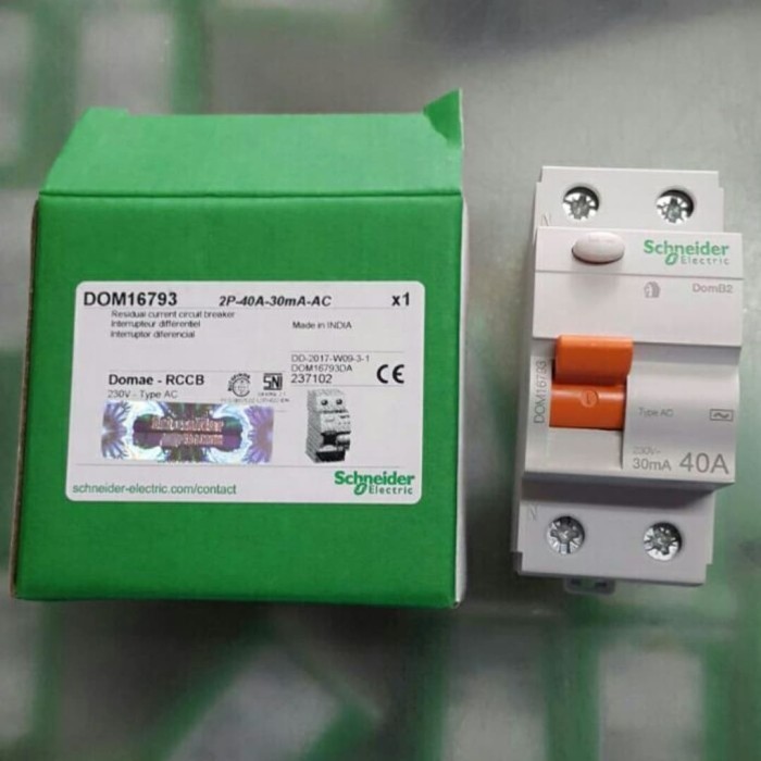 ELCB/RCCB 40A 2P Schneider