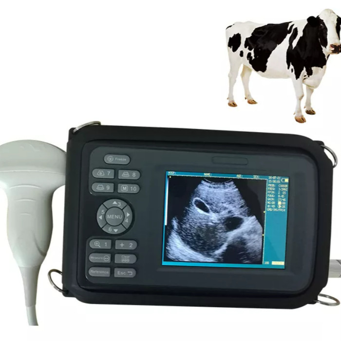 Veterinary Handheld Portable Ultrasound Scanner For Vet Ultrasound Instruments Portable Ultrasound S