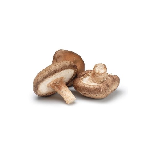 

Shitake Mushroom