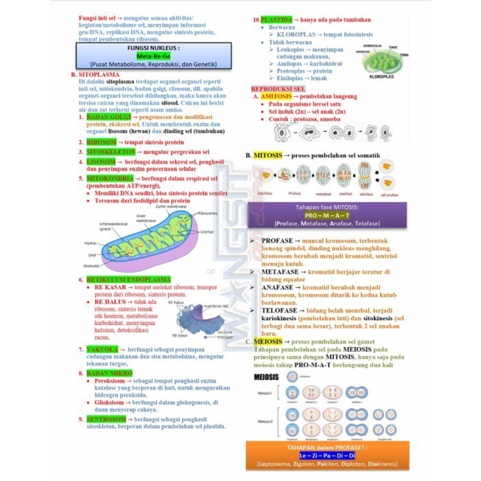 

KIRIM HARI INI [UTBK 2025] Buku Wangsit OM JERO UTBK SNBT 2025 - TPS PLATINUM