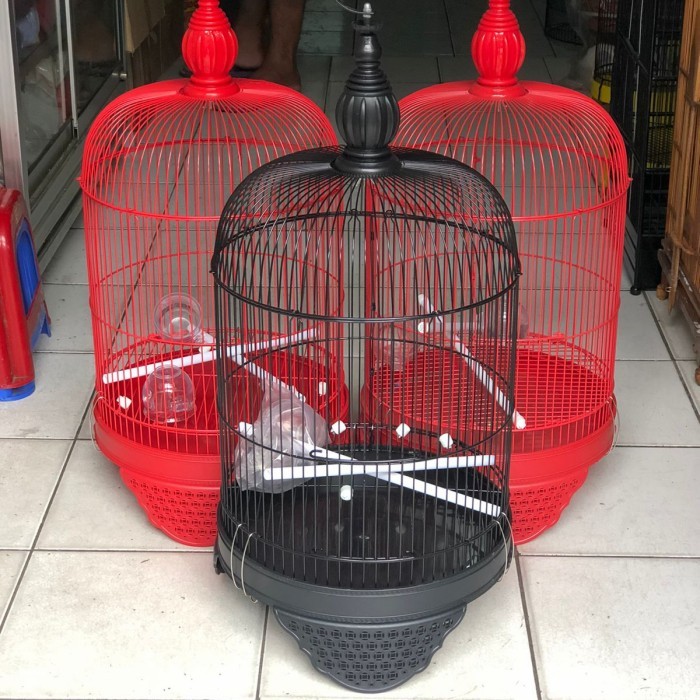 Sangkar kandang lovebird CC tanggung.