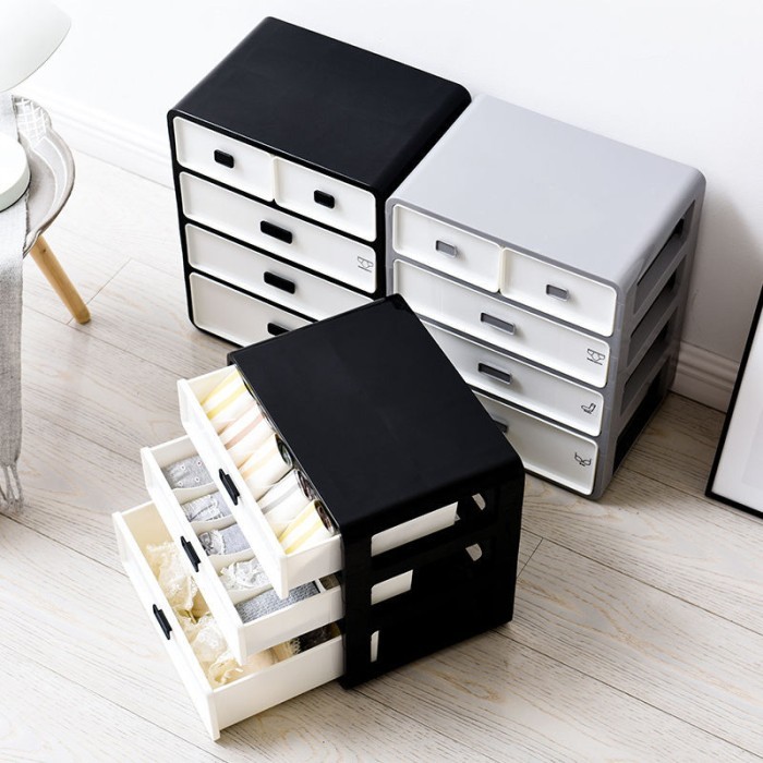 

Halu Underwear Storage Box Rak Laci Serbaguna Kotak Penyimpanan Pakaian Dalam Kaos Kaki Hlb401