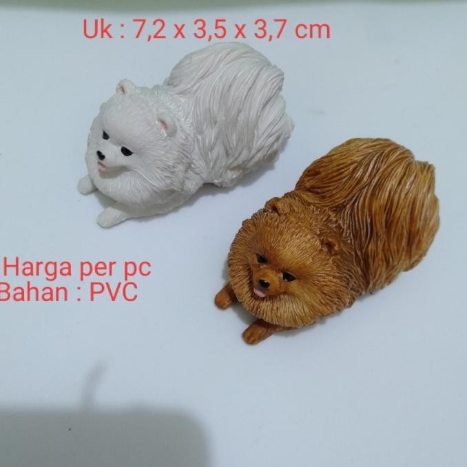 Miniatur Anjing Pomeranian Miniatur Anjing PomPom Coklat Putih