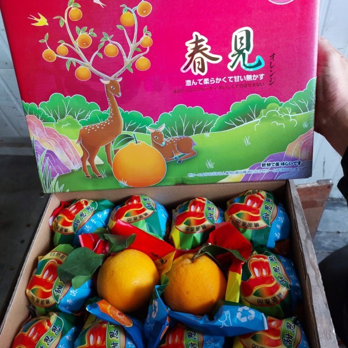 

Jeruk Dekopon Fresh/ Jeruk Enak/Hampers