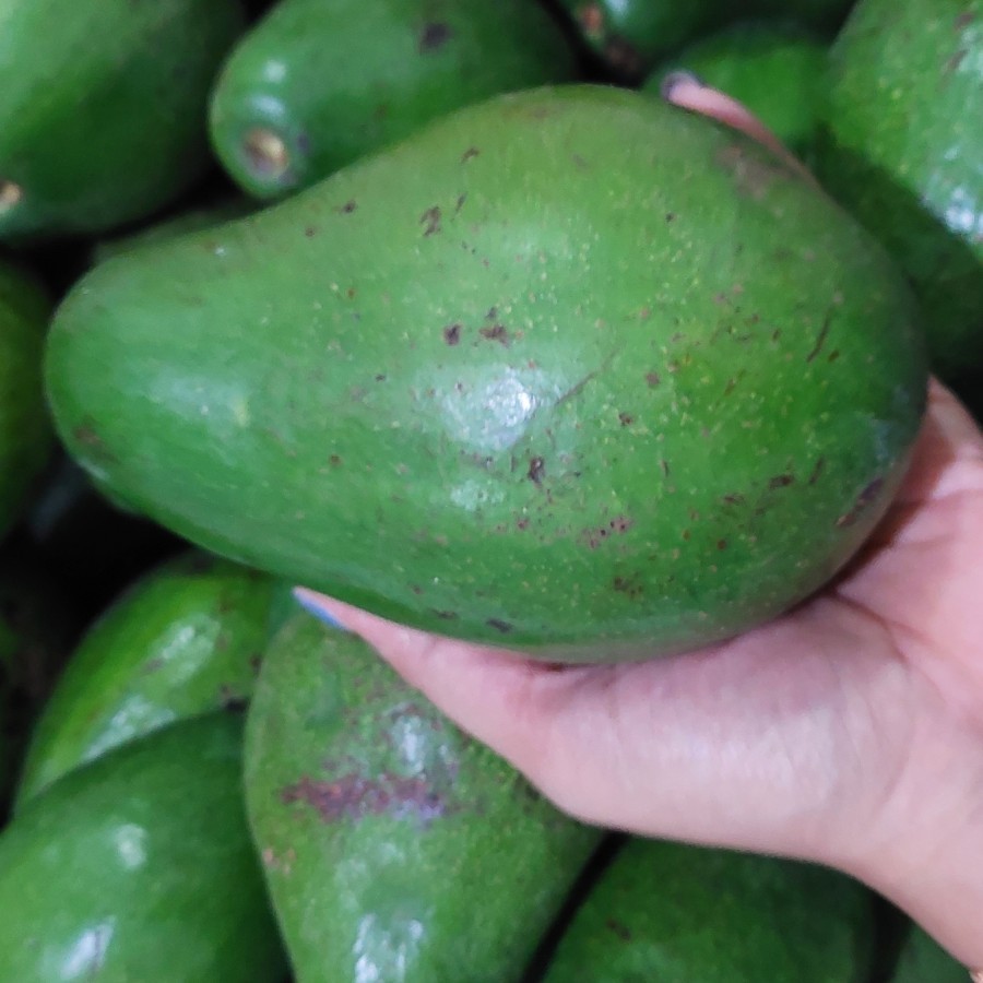 

ALPUKAT 1KG ISI 3 SD 4BUAH