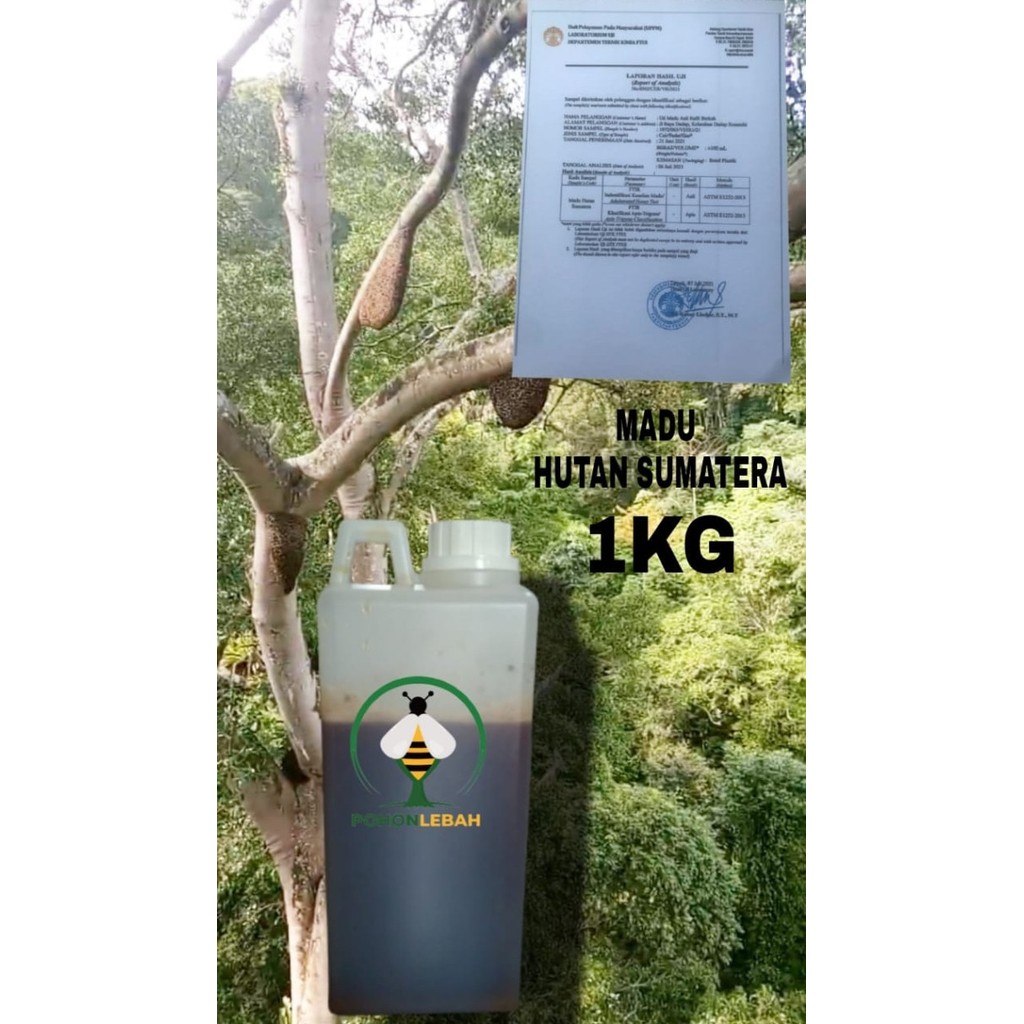 

madu hutan sumatra 1kg (murni)