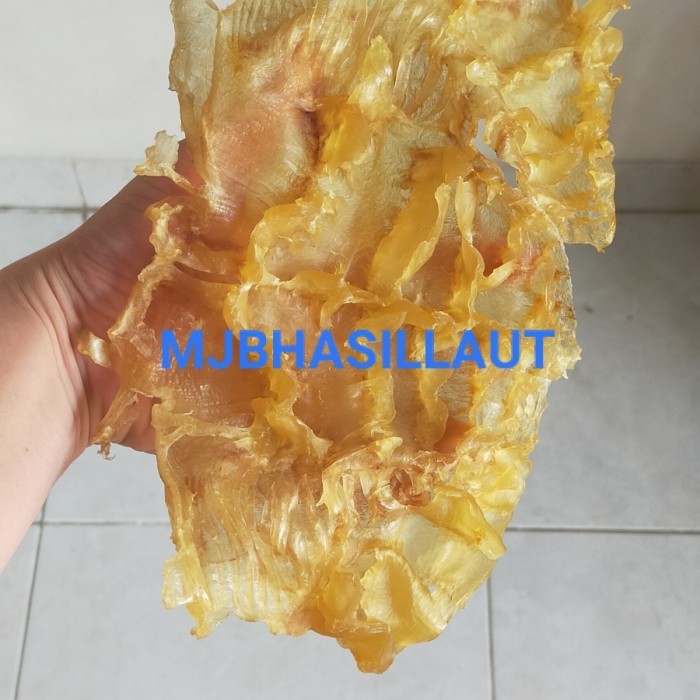 

GELEMBUNG IKAN, PERUT IKAN, LAMBUNG IKAN, MANYONG, YUPIO,HUPIO,500GRAM