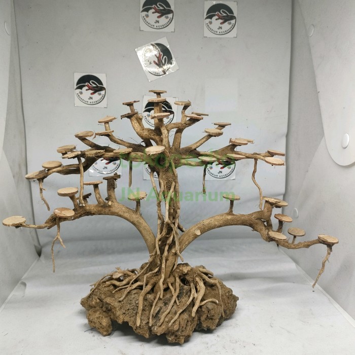 Tebing Akar Kayu Bonsai Beringin Double Hiasan Aquarium Aquascape