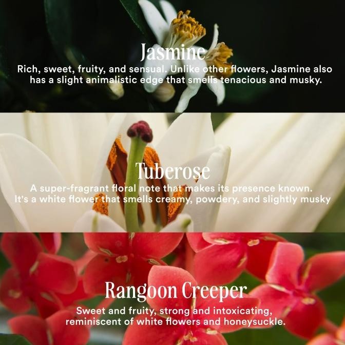 NEW PRODUK YN PERFUMERY | THE DUCHESS - EAU DE PARFUM 50ML 