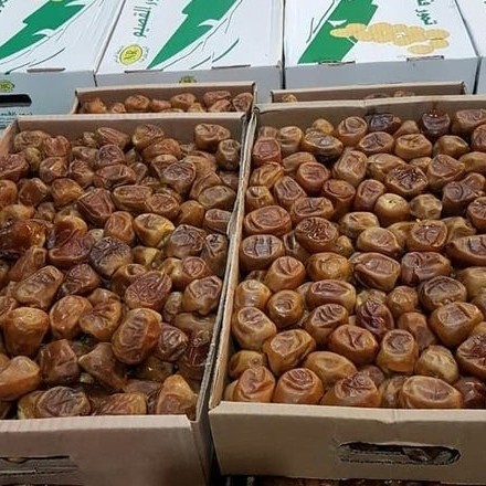 

Promo!! Kurma Sukari Nr Al-Qassim