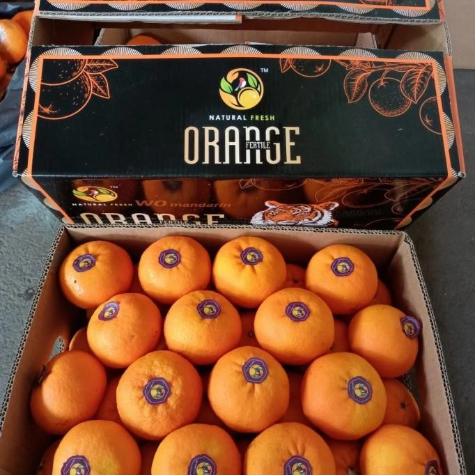 

SALE! BUAH JERUK WOKAM SUPER MANIS FRESH PER 1 DUS GRADE A BERAT -+9 KG