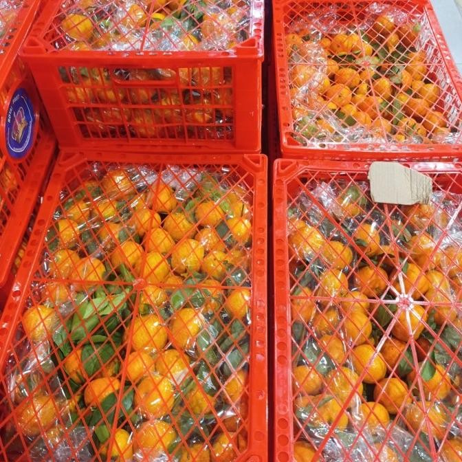 

SALE! JERUK SANTANG BIRMA PER 1 KERANJANG ISI 5-6KG