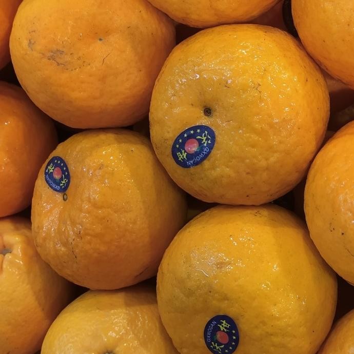 

SALE! JERUK WOKAM MANIS 1KG