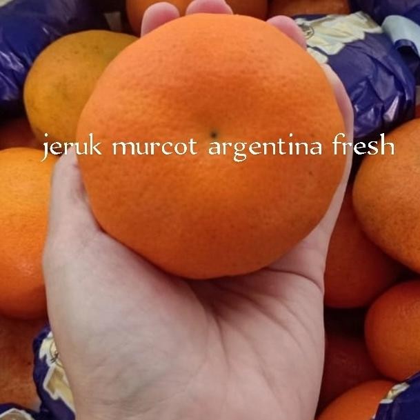 

SALE! JERUK MURCOT ARGENTINA FRESH PER 1KG
