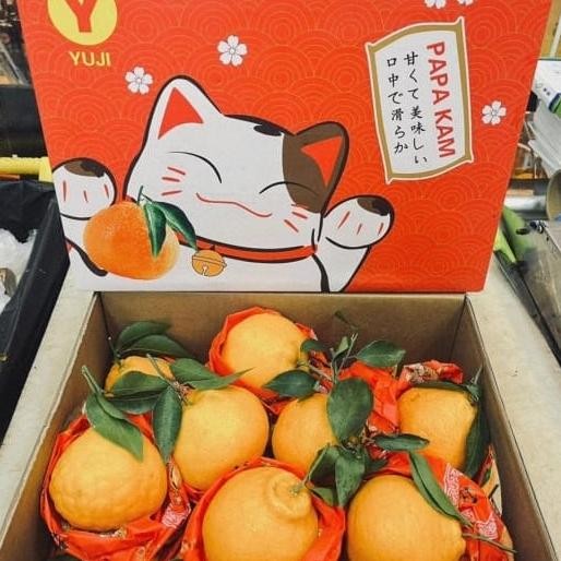 

SALE! JERUK PAPAKAM YUJI MANIS 4 KG / BOX