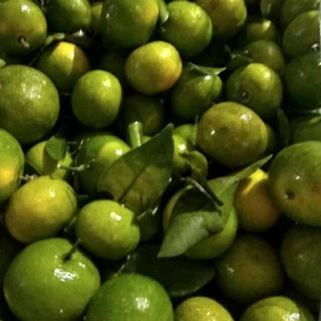 

SALE! JERUK SANTANG MADU 1 KG