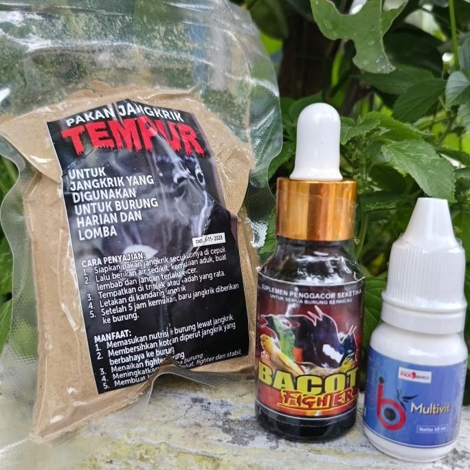 Paket Vitamin Semua Burung Bacot Fighter Ib Vit Pakan Jangkrik Tempur