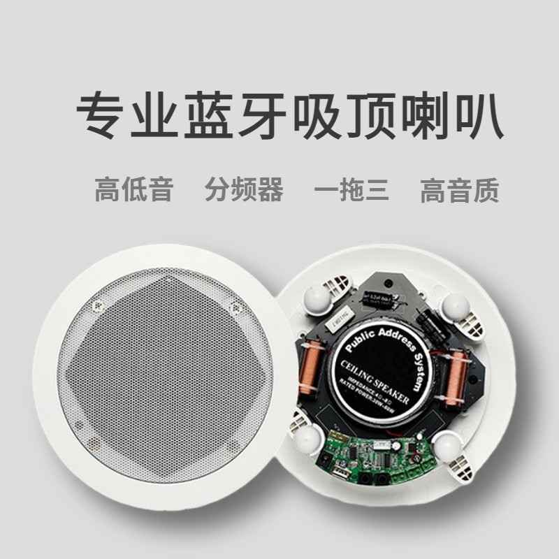 Ceiling Speaker High Fidelity Coaxial Ceiling Speaker
