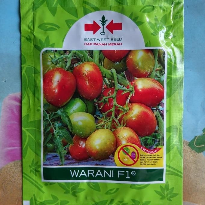 FRES Bibit Buah Besar RANI 5gr isi 1788 biji VALID