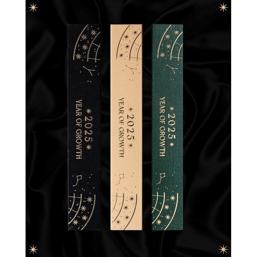 

Ready 2025 Year of Growth Book by Dreamy Moons Diary by Annie Tarasova