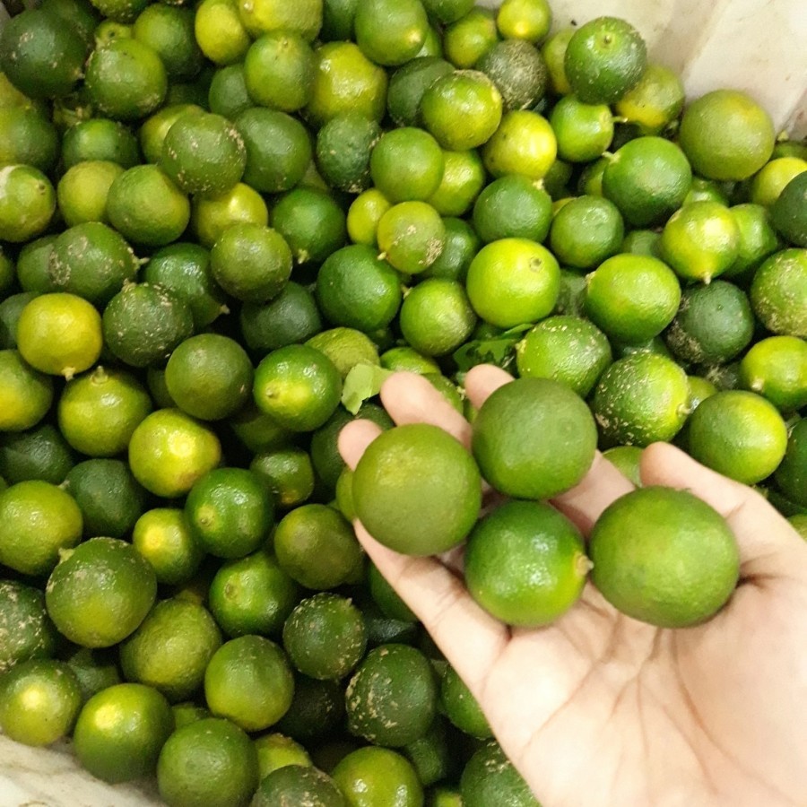 

Jeruk Sonkit / Jeruk Kunci / Jeruk kasturi / Lemon Cui Pontianak fresh - 500 gram