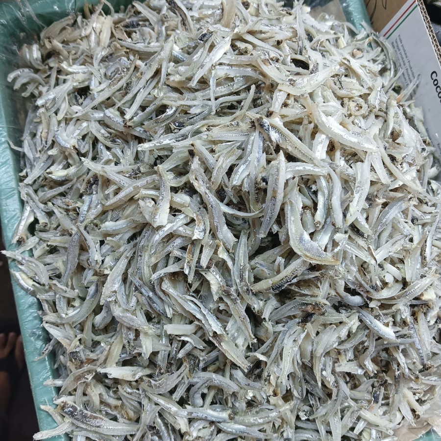 

teri jengki 1 kg