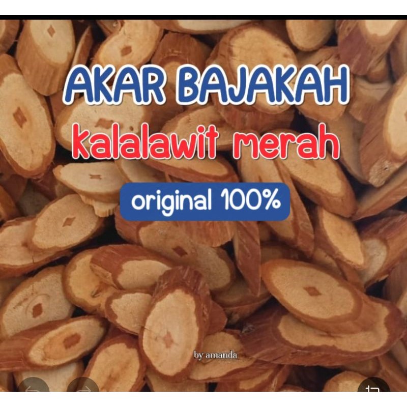 

Akar Bajakah kalawit merah asli kalimantan Berat 1kg