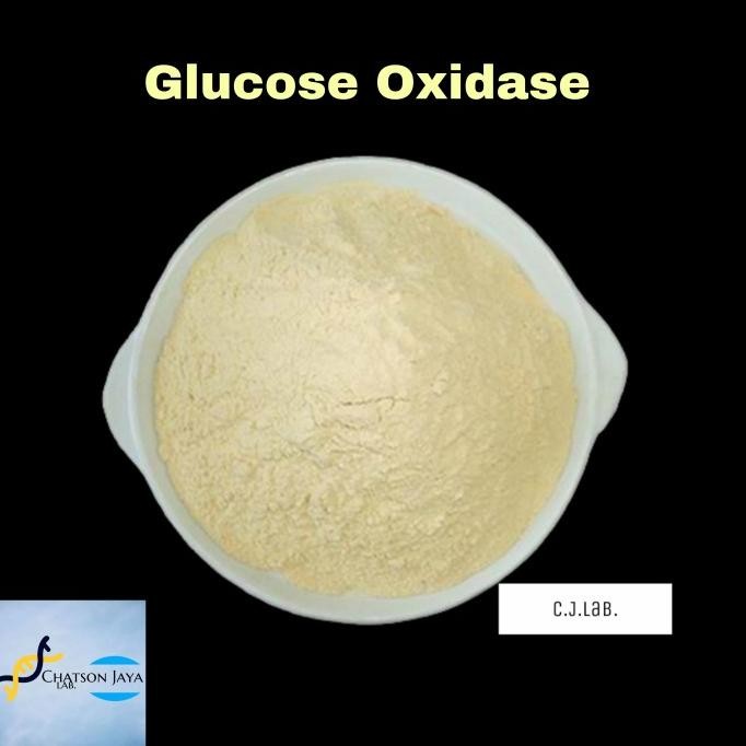 Enzim Glucose Oxidase Powder 5 gr-Enzim Glukosa Oksidase 5 gr