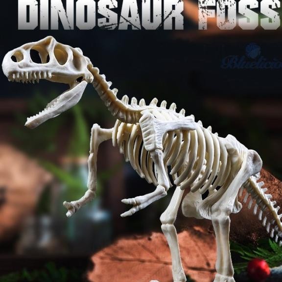 Mainan Edukasi Anak Fosil Dinosaurus / Dino Gypsum / Arkeologi