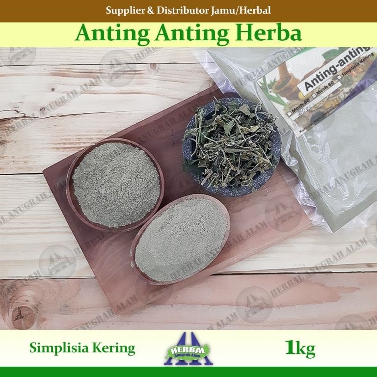 Herba Anting Anting (Kering) 1Kg | Acalypha Indica | Lateng Putih - 100% Murni #Herbal