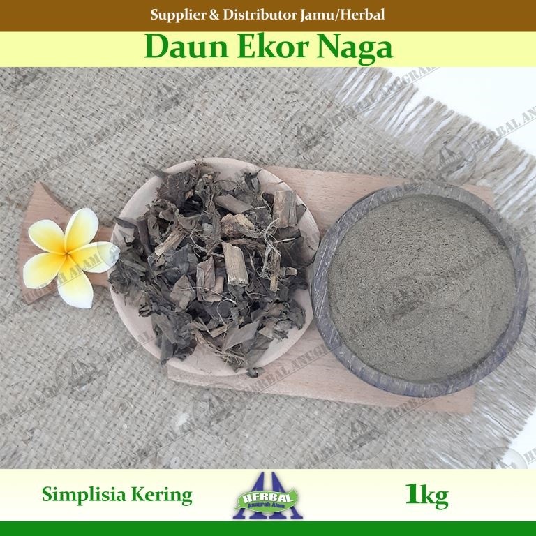 

Daun Ekor Naga (Kering) 1Kg | Rhadphidophora Pinnata | Monstera - 100% Murni #Herbal