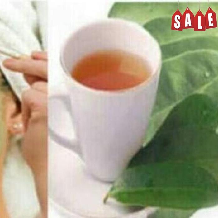 

Free Ongkir Daun Sirsak Segar Non Kimia Daun Ramban