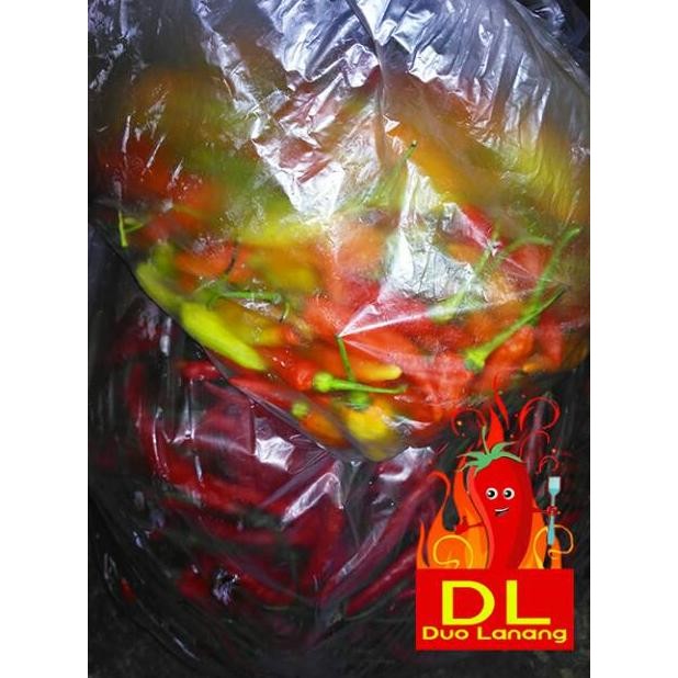 

Sale Keripik Singkong Pedas Balado 100% Cabe Asli @1 Kilogram Premium