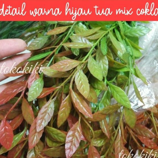 Daun Lee An Yew Artificial Daun Juntai Lee Kuan Yu