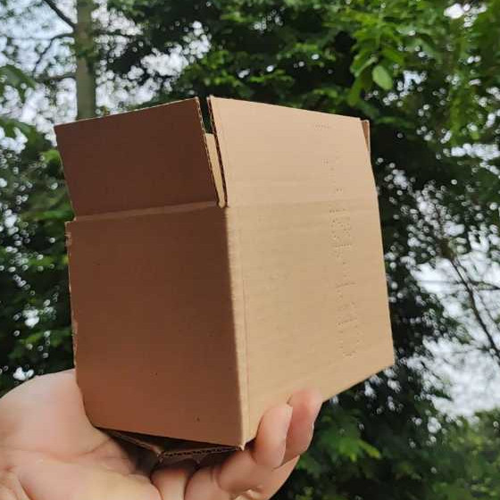 

Termurah Kardus Packing 15x10x10 Termurah / Terkeras